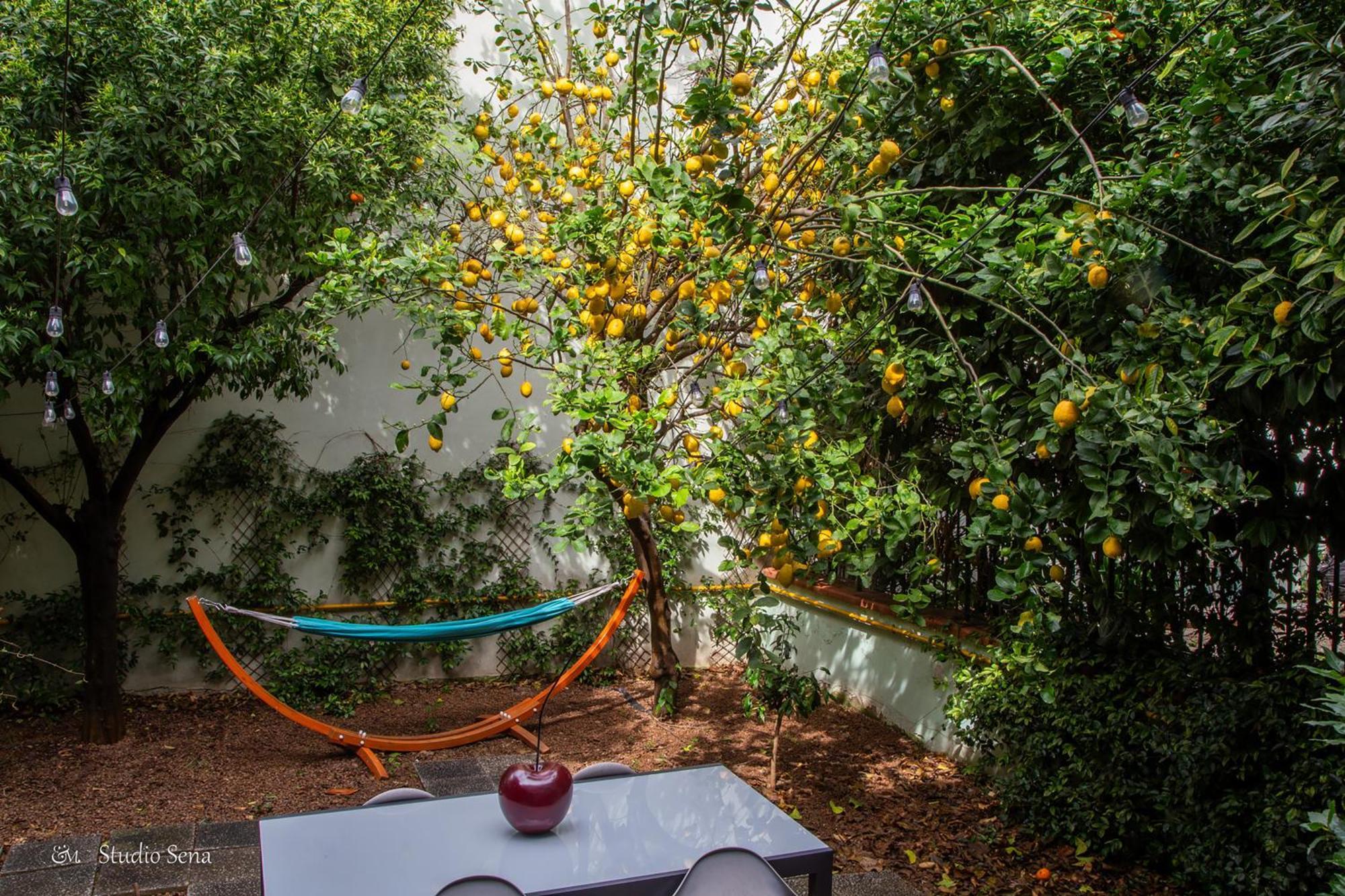 Utopia Bed & Breakfast Марильяно Экстерьер фото